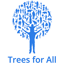 trees for all teambuilding Birmingham